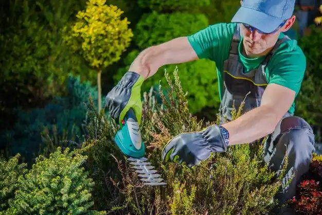 landscaping services Velda Village Hills